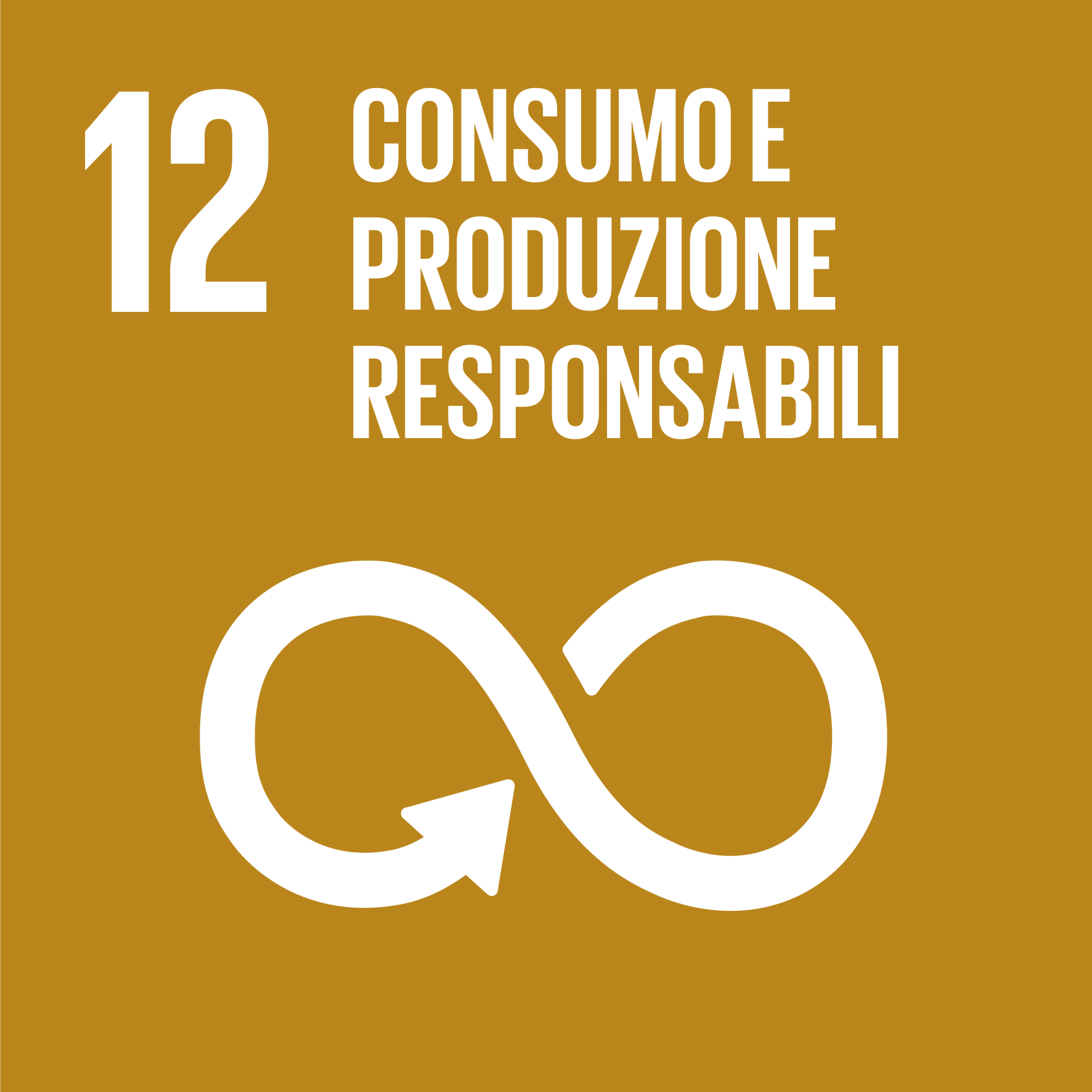obiettivo sdg sviluppo sostenibile 12